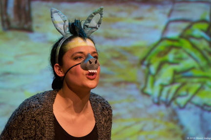 2016 Moordindekerststal (7)