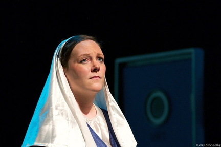 2016 Moordindekerststal (9)