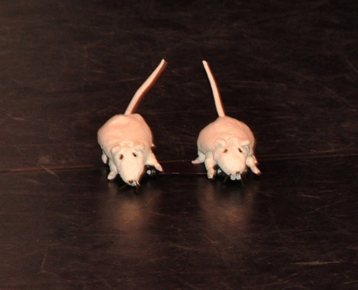 27-10-2011 Toneelgroep Haag 157